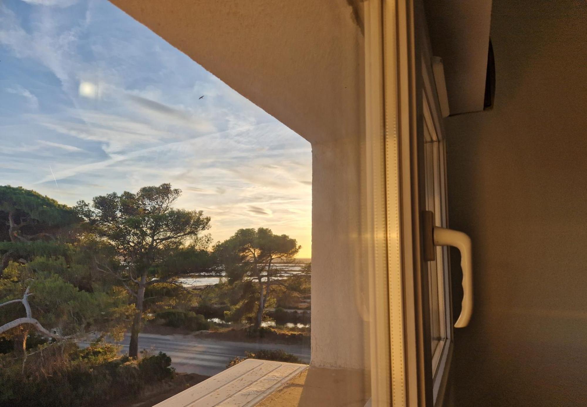 Les Flamants Roses De La Capte T2 Hyeres Exterior photo